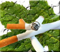 Hukum Rokok Herbal